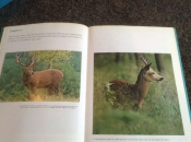 Flora en Fauna Boek NATUUR en het KLIMAAT en het plantenleed in heel België